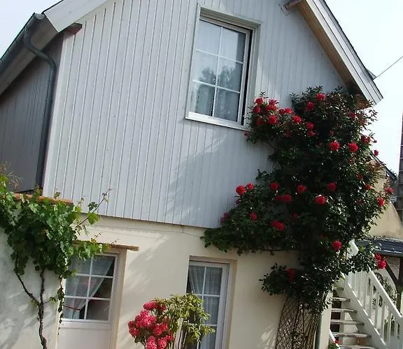 Les Orchidees * Honfleur