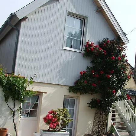 Les Orchidees * Honfleur